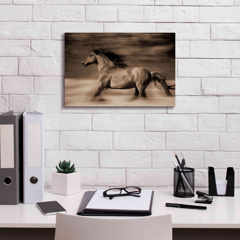 Image of 'Wind Runner' by Lisa Dearing, Giclee Canvas Wall Art,18x12