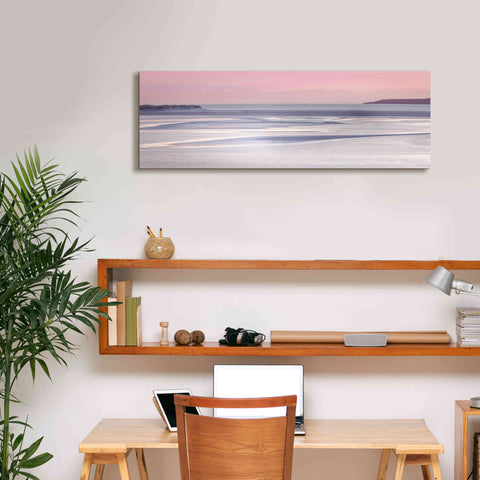 Image of 'Silver Sands' by Lynne Douglas, Giclee Canvas Wall Art,36x12