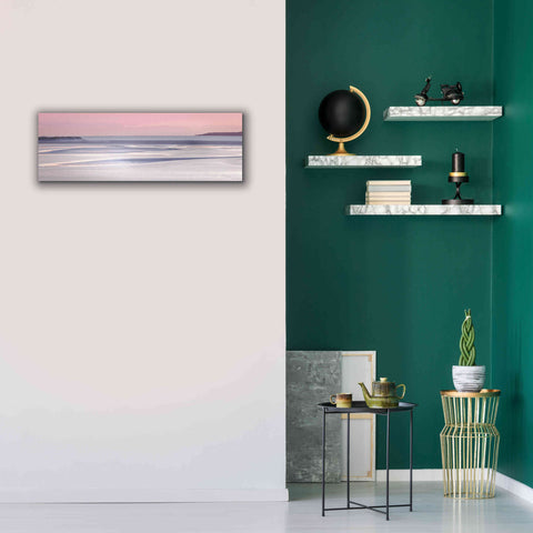 Image of 'Silver Sands' by Lynne Douglas, Giclee Canvas Wall Art,36x12