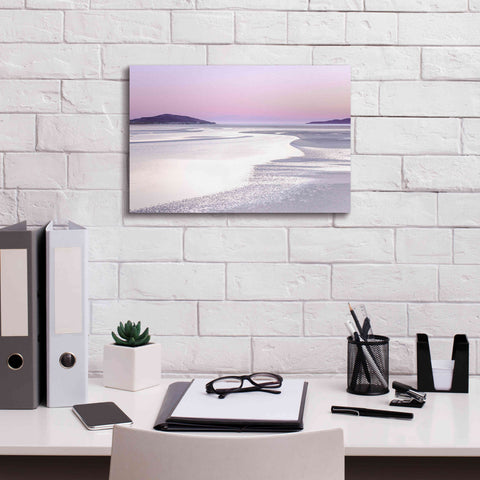 Image of 'Silver Silence' by Lynne Douglas, Giclee Canvas Wall Art,18x12