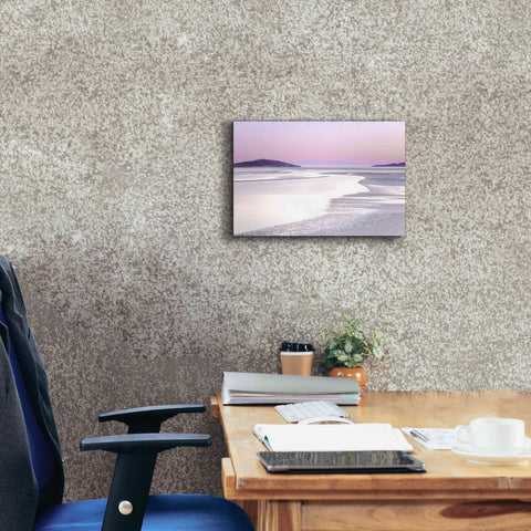 Image of 'Silver Silence' by Lynne Douglas, Giclee Canvas Wall Art,18x12