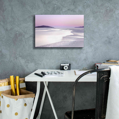 Image of 'Silver Silence' by Lynne Douglas, Giclee Canvas Wall Art,18x12