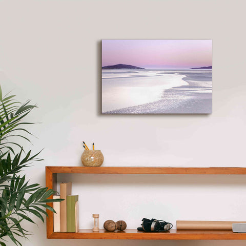 Image of 'Silver Silence' by Lynne Douglas, Giclee Canvas Wall Art,18x12