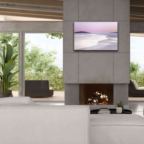 Image of 'Silver Silence' by Lynne Douglas, Giclee Canvas Wall Art,40x26