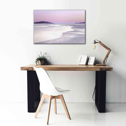 Image of 'Silver Silence' by Lynne Douglas, Giclee Canvas Wall Art,40x26