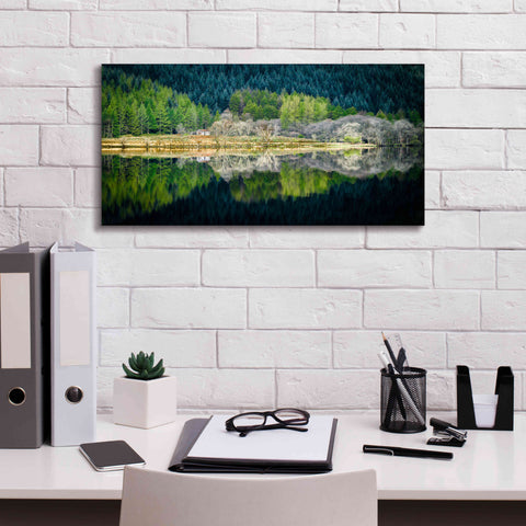 Image of 'Spring Greens' by Lynne Douglas, Giclee Canvas Wall Art,24x12