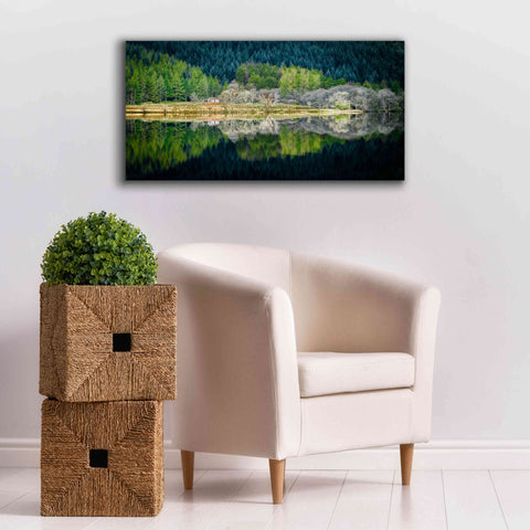 Image of 'Spring Greens' by Lynne Douglas, Giclee Canvas Wall Art,40x20