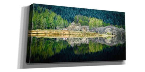 Image of 'Spring Greens' by Lynne Douglas, Giclee Canvas Wall Art