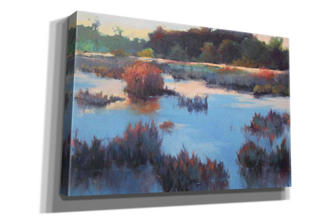 Image of 'Ace Basin Creek' by Madeline Dukes, Giclee Canvas Wall Art