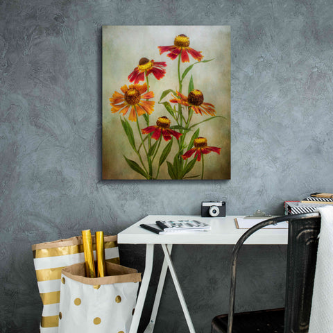 Image of 'Cabaret' by Mandy Disher, Giclee Canvas Wall Art,20x24
