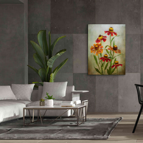 Image of 'Cabaret' by Mandy Disher, Giclee Canvas Wall Art,40x54