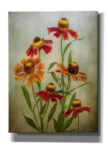 Image of 'Cabaret' by Mandy Disher, Giclee Canvas Wall Art