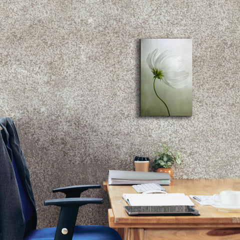 Image of 'Cosmos Charisma' by Mandy Disher, Giclee Canvas Wall Art,12x18