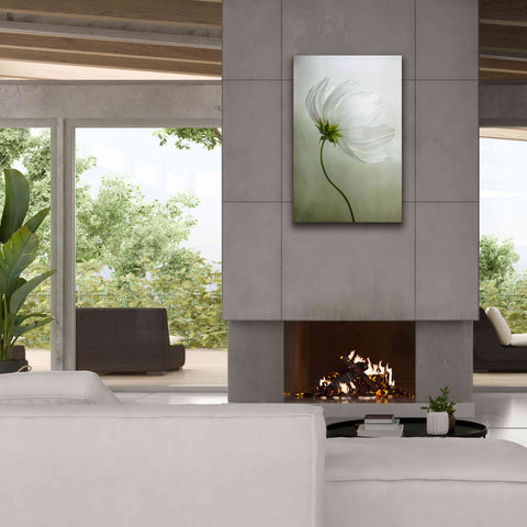 Image of 'Cosmos Charisma' by Mandy Disher, Giclee Canvas Wall Art,26x40