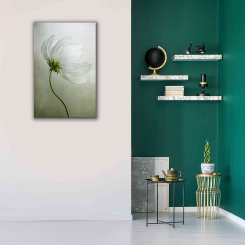 Image of 'Cosmos Charisma' by Mandy Disher, Giclee Canvas Wall Art,26x40