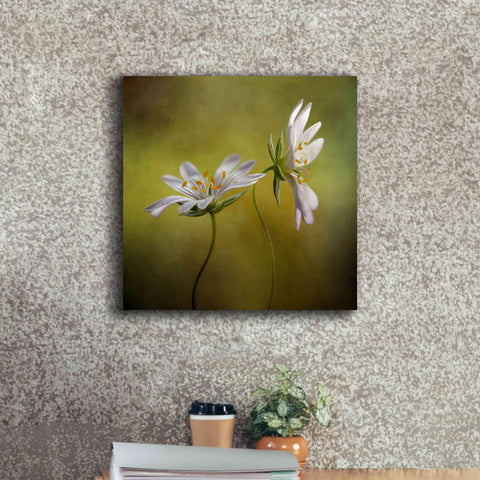 Image of 'Echo' by Mandy Disher, Giclee Canvas Wall Art,18x18
