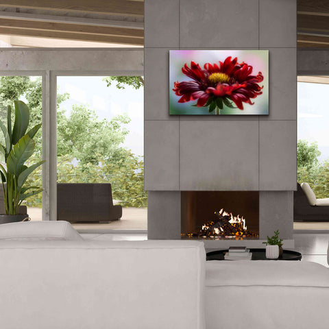 Image of 'Flame' by Mandy Disher, Giclee Canvas Wall Art,40x26