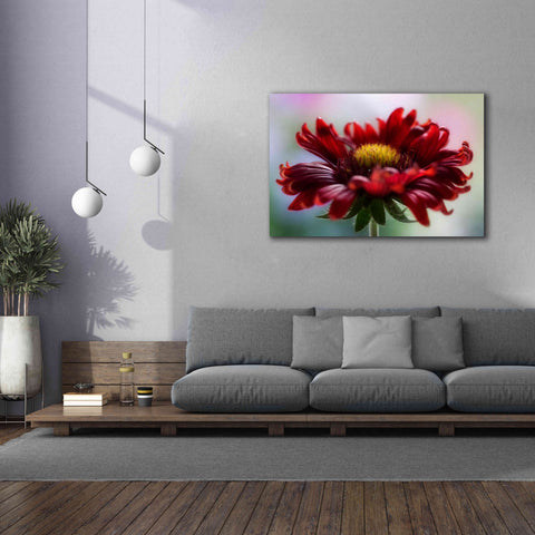 Image of 'Flame' by Mandy Disher, Giclee Canvas Wall Art,60x40
