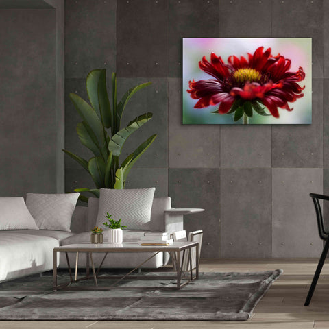 Image of 'Flame' by Mandy Disher, Giclee Canvas Wall Art,60x40