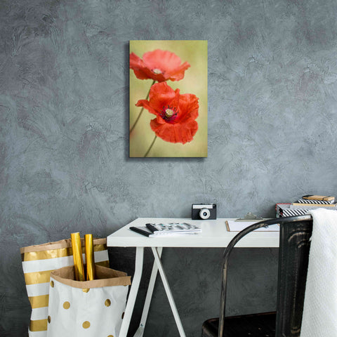 Image of 'Papaver Passion' by Mandy Disher, Giclee Canvas Wall Art,12x18