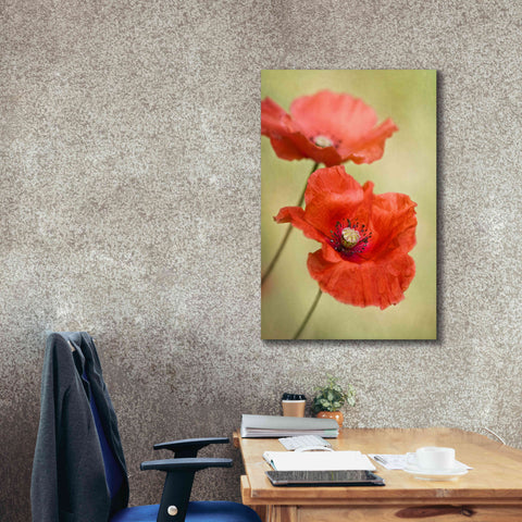 Image of 'Papaver Passion' by Mandy Disher, Giclee Canvas Wall Art,26x40