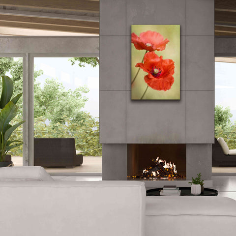 Image of 'Papaver Passion' by Mandy Disher, Giclee Canvas Wall Art,26x40