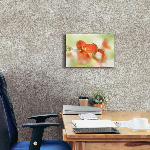 Image of 'Summer Glow' by Mandy Disher, Giclee Canvas Wall Art,18x12