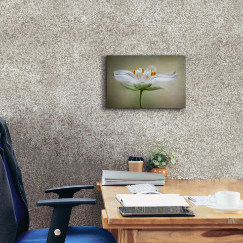 Image of 'Summer Swirl' by Mandy Disher, Giclee Canvas Wall Art,18x12