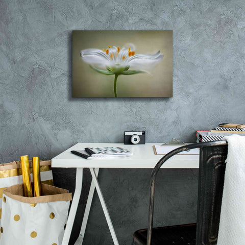 Image of 'Summer Swirl' by Mandy Disher, Giclee Canvas Wall Art,18x12