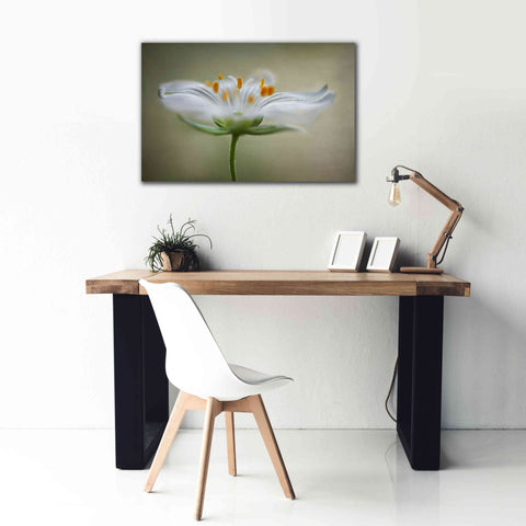 Image of 'Summer Swirl' by Mandy Disher, Giclee Canvas Wall Art,40x26