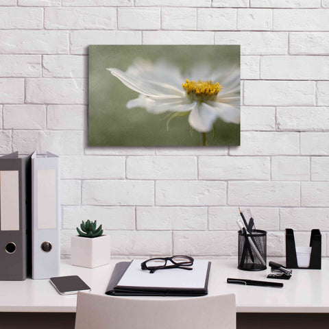 Image of 'Whisper' by Mandy Disher, Giclee Canvas Wall Art,18x12