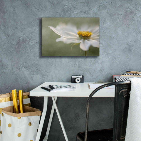 Image of 'Whisper' by Mandy Disher, Giclee Canvas Wall Art,18x12