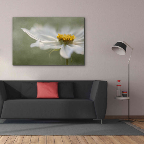 Image of 'Whisper' by Mandy Disher, Giclee Canvas Wall Art,60x40
