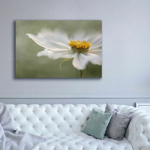 Image of 'Whisper' by Mandy Disher, Giclee Canvas Wall Art,60x40