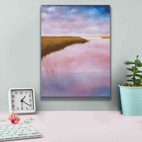 Image of 'Lowlands' by Michael A. Diliberto, Giclee Canvas Wall Art,12x16