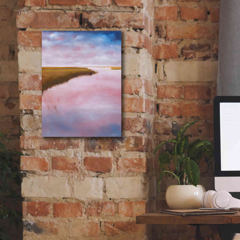 Image of 'Lowlands' by Michael A. Diliberto, Giclee Canvas Wall Art,12x16