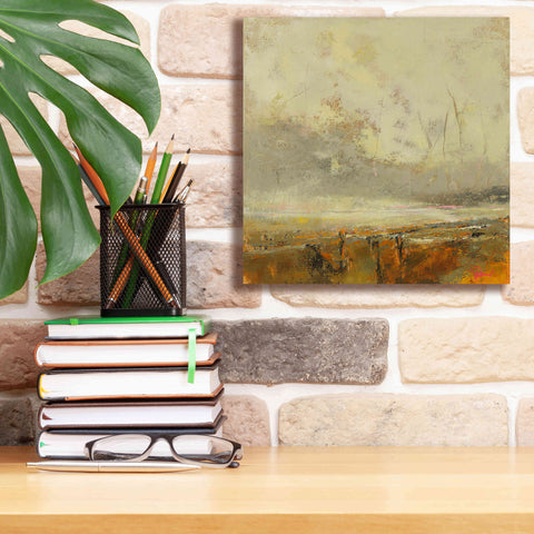 Image of 'Farm Path' by Patrick Dennis, Giclee Canvas Wall Art,12x12