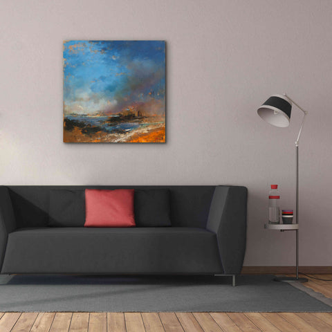 Image of 'Reclaimed Land' by Patrick Dennis, Giclee Canvas Wall Art,37 x 37