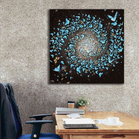Image of 'Butterfly Galaxy' by Paula Belle Flores, Giclee Canvas Wall Art,37 x 37