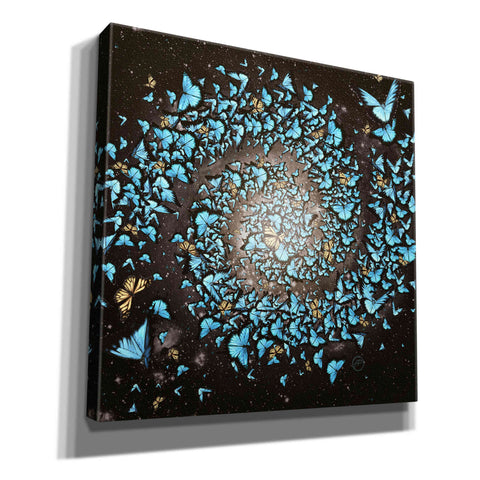 Image of 'Butterfly Galaxy' by Paula Belle Flores, Giclee Canvas Wall Art