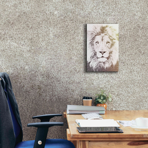 Image of 'Lion' by Paula Belle Flores, Giclee Canvas Wall Art,12 x 18