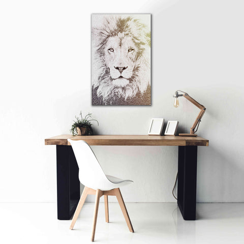 Image of 'Lion' by Paula Belle Flores, Giclee Canvas Wall Art,26 x 40