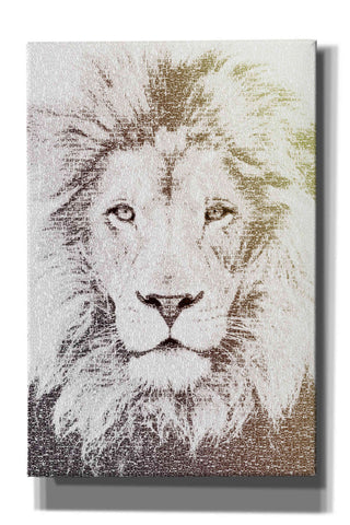 Image of 'Lion' by Paula Belle Flores, Giclee Canvas Wall Art
