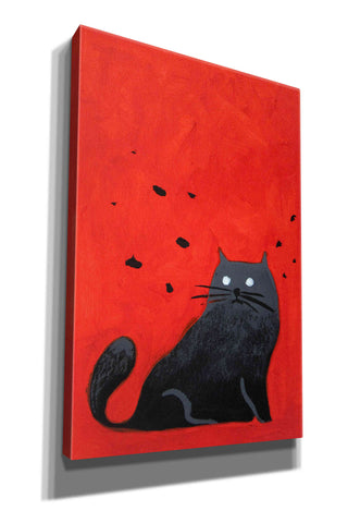 Image of 'Stray Black Cat' by Robert Filiuta, Giclee Canvas Wall Art