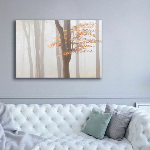 Image of 'Arnhem Park Zypendaal' by Wilco Dragt, Giclee Canvas Wall Art,60 x 40