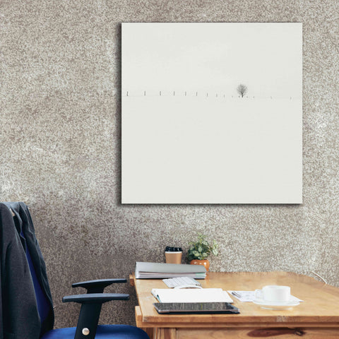 Image of 'Frozen Landscape' by Wilco Dragt, Giclee Canvas Wall Art,37 x 37