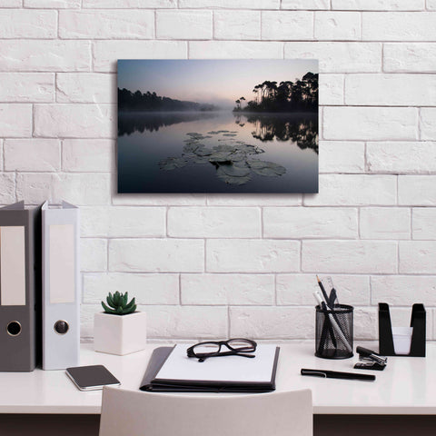 Image of 'Oisterwijkse Vennen' by Wilco Dragt, Giclee Canvas Wall Art,18 x 12