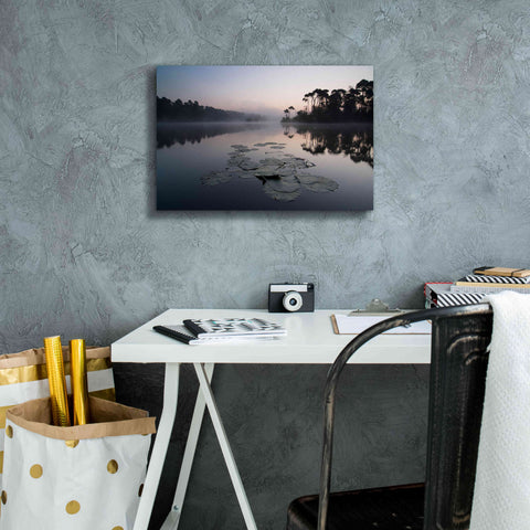 Image of 'Oisterwijkse Vennen' by Wilco Dragt, Giclee Canvas Wall Art,18 x 12