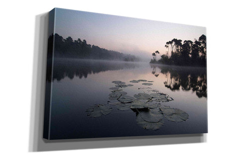 Image of 'Oisterwijkse Vennen' by Wilco Dragt, Giclee Canvas Wall Art