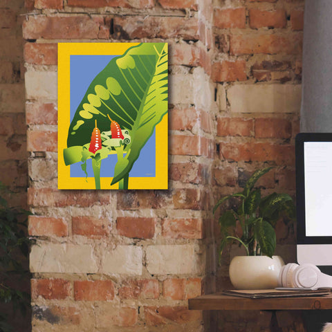 Image of 'Alocasia' by David Chestnutt, Giclee Canvas Wall Art,12 x 16